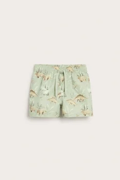 Badeshorts med dinosaurer