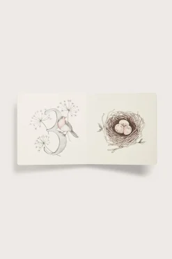 Bildebok