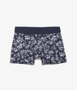 Boxer