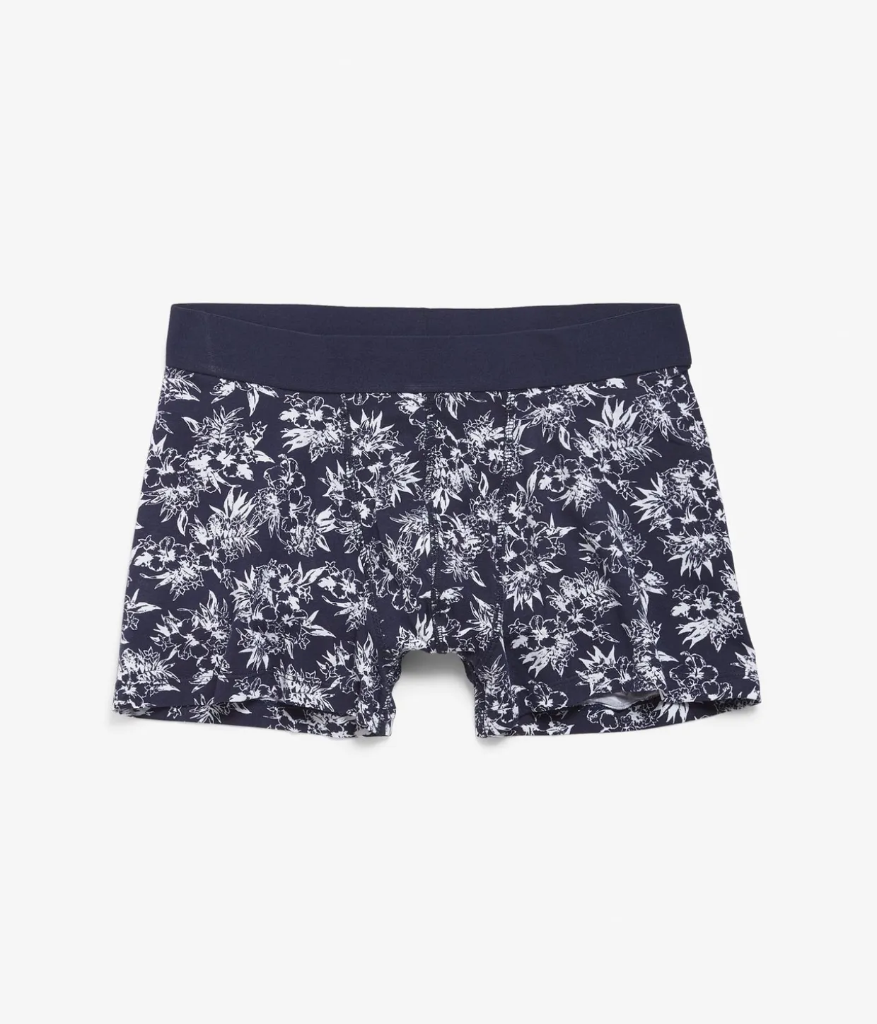 Boxer