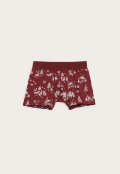 Boxer med julemønster