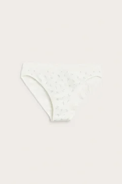 Brieftruse