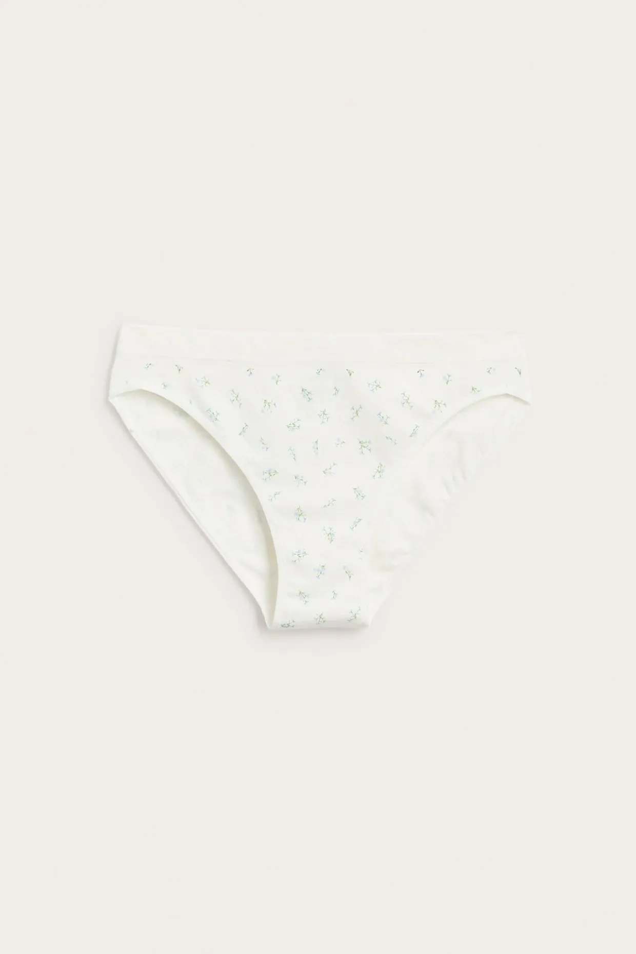 Brieftruse