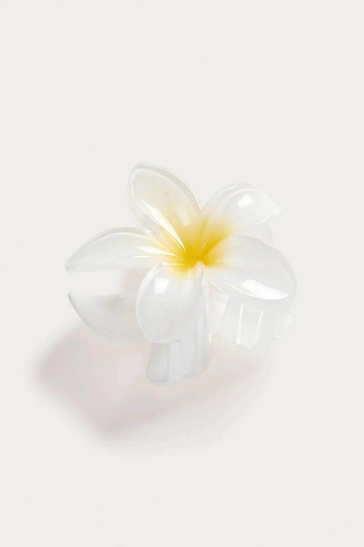 Hårklemme blomst