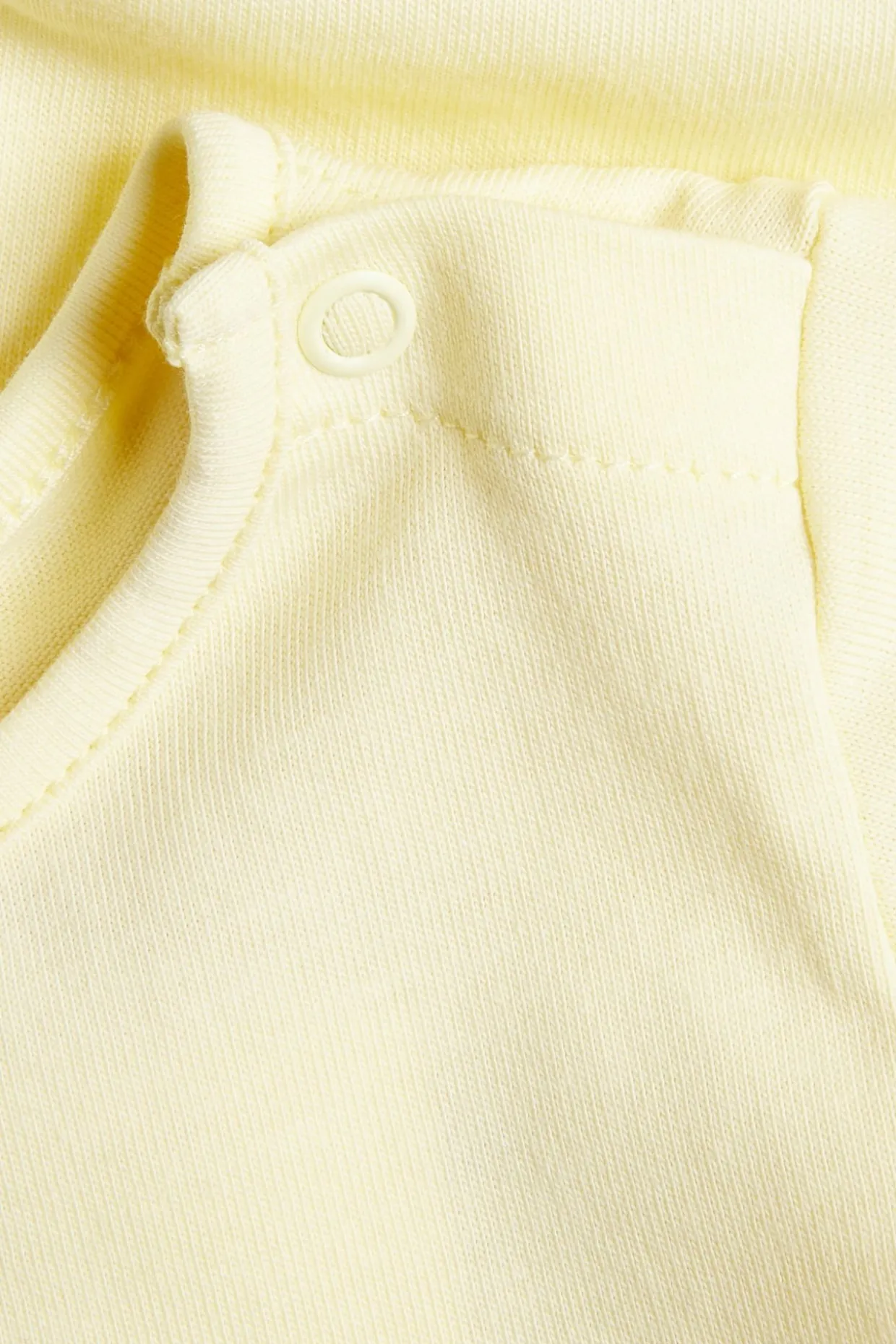 Kortermet body