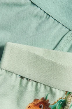 2-pk. boxershorts med dinosaurtrykk