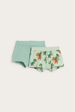 2-pk. boxershorts med dinosaurtrykk