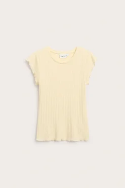 Pointeille-topp