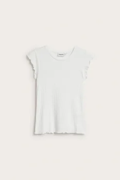Pointeille-topp
