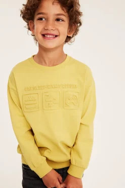 Sweatshirt i bomullstrikot med 3D-motiv