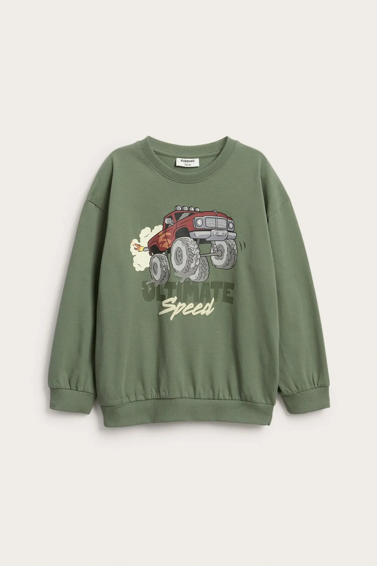Sweatshirt i bomullstrikot med trykk av en monsterbil