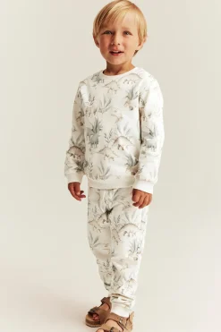 Sweatshirt med dinosaurer