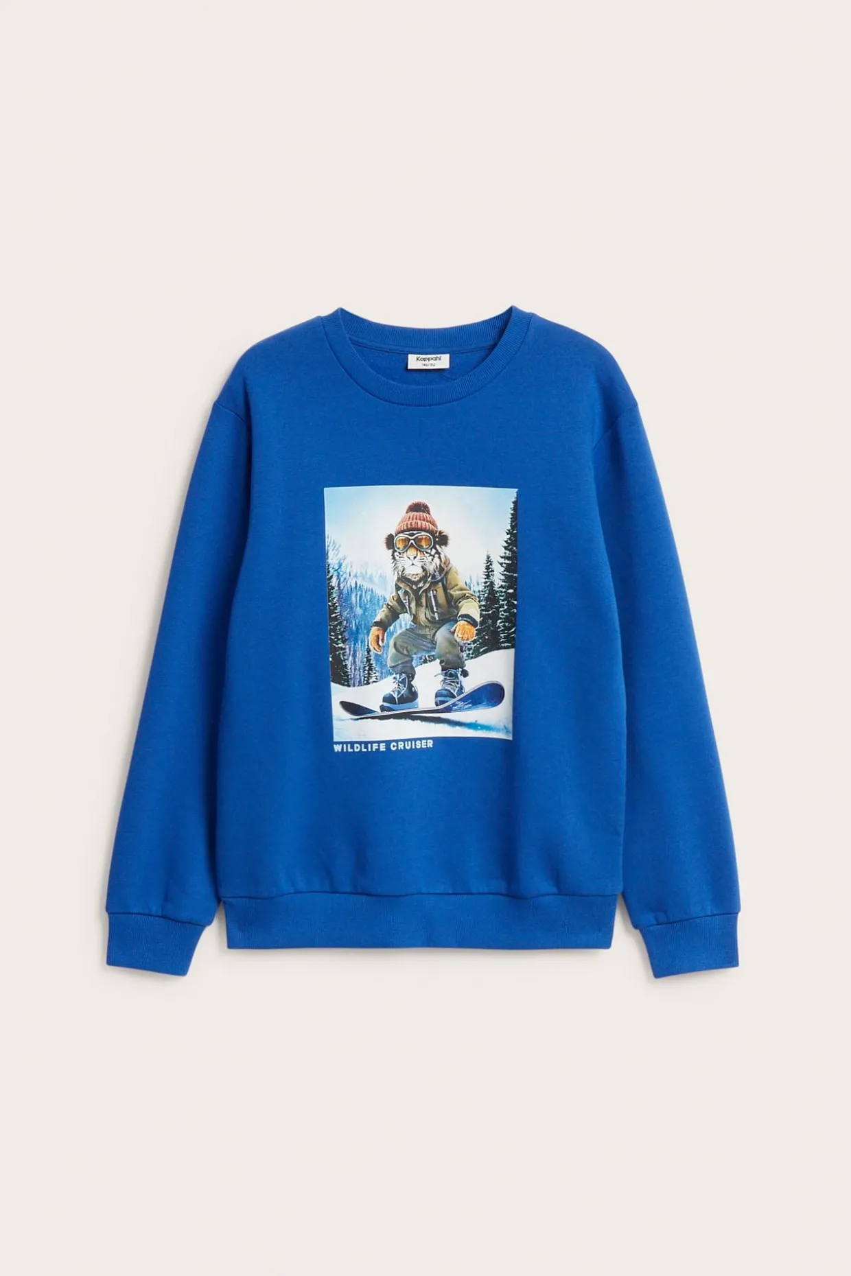 Sweatshirt med trykk