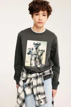 Sweatshirt med trykk