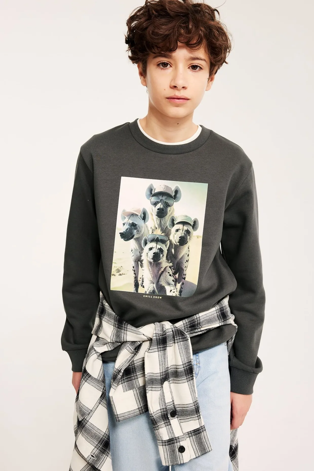 Sweatshirt med trykk