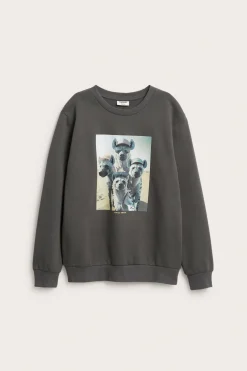 Sweatshirt med trykk
