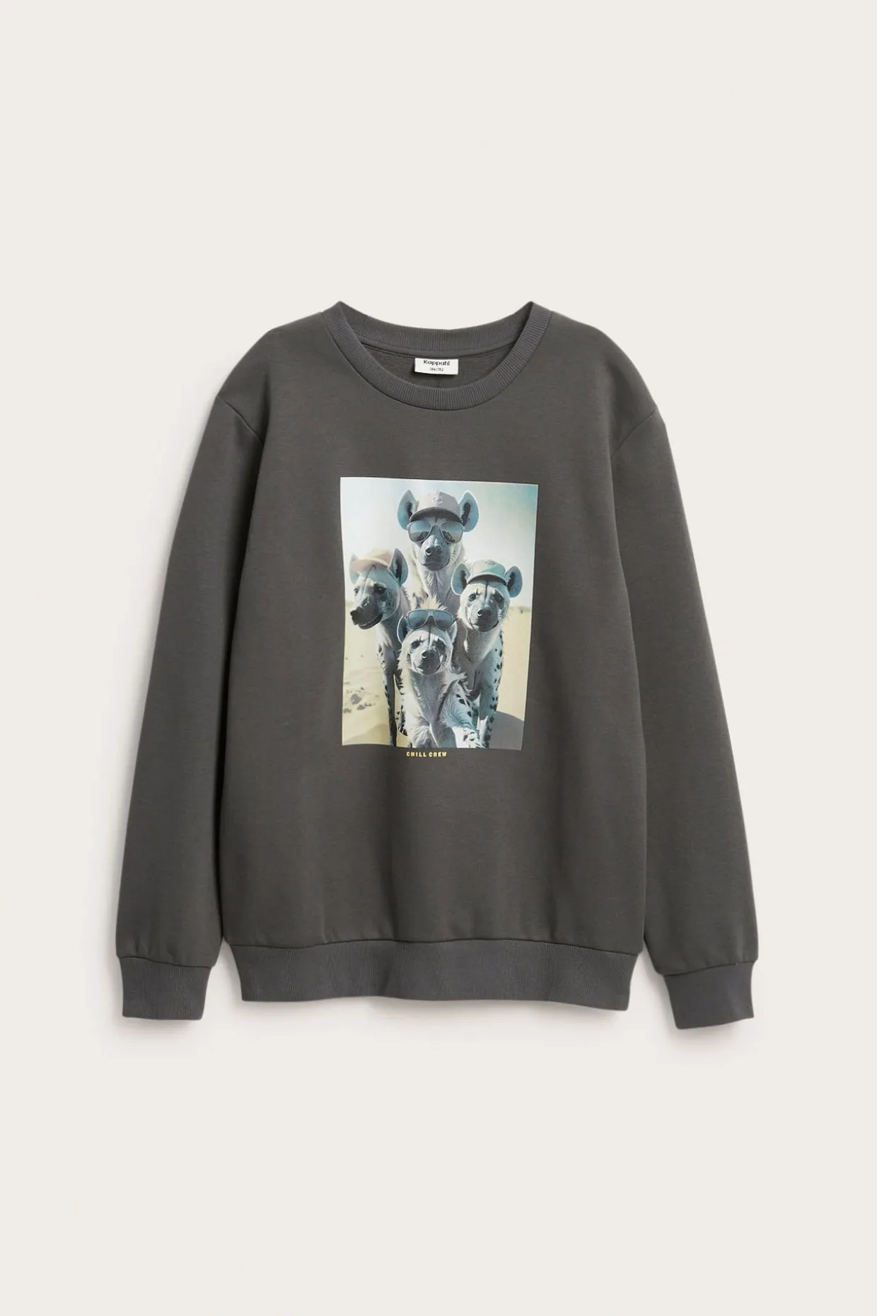 Sweatshirt med trykk