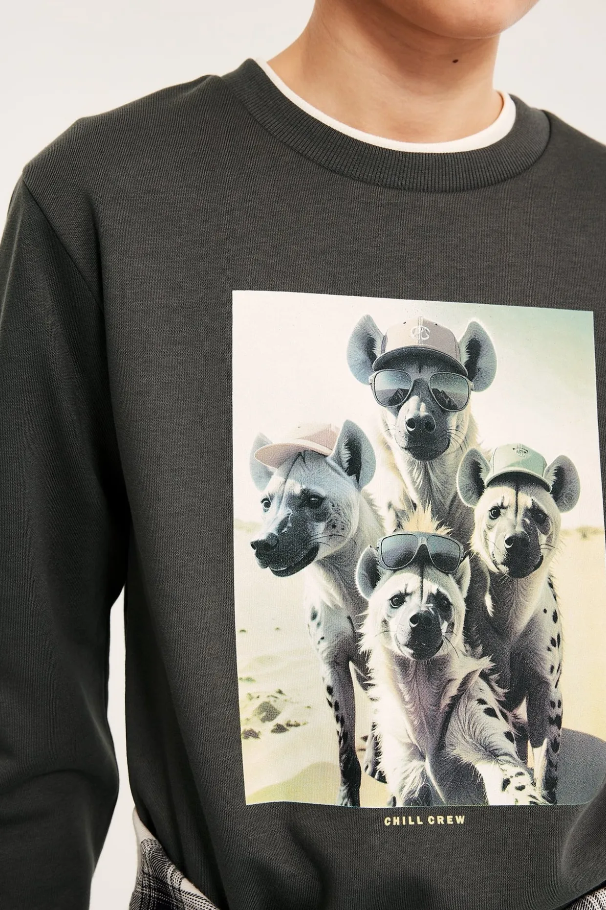 Sweatshirt med trykk