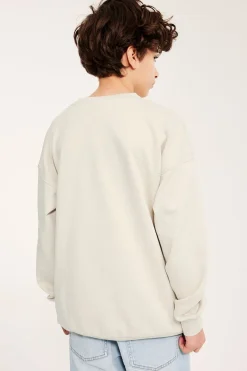 Sweatshirt med trykk
