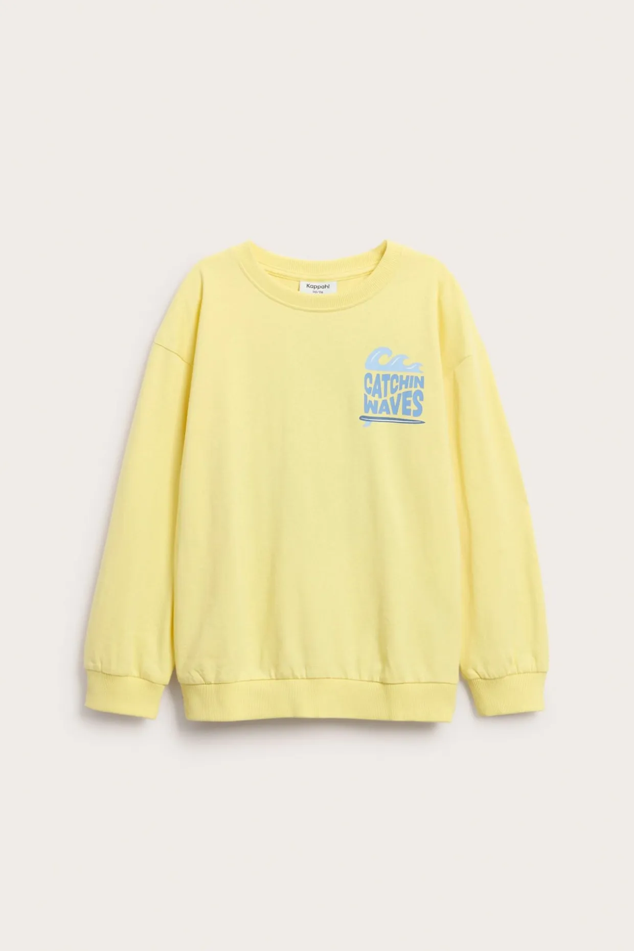 Sweatshirt med trykk foran og bak