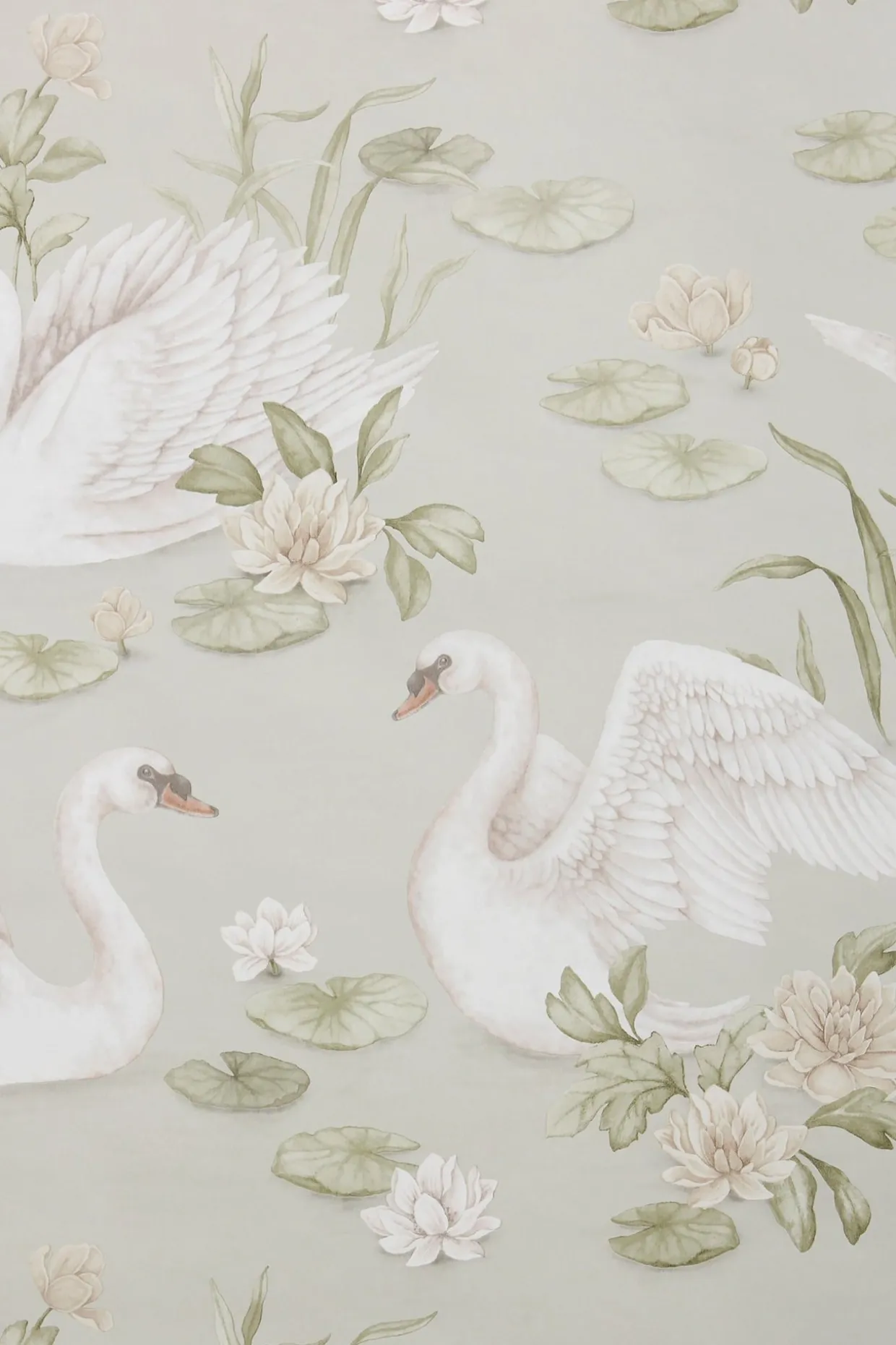 Tapet Lily Swan | Lysegrønn | Baby | Newbie