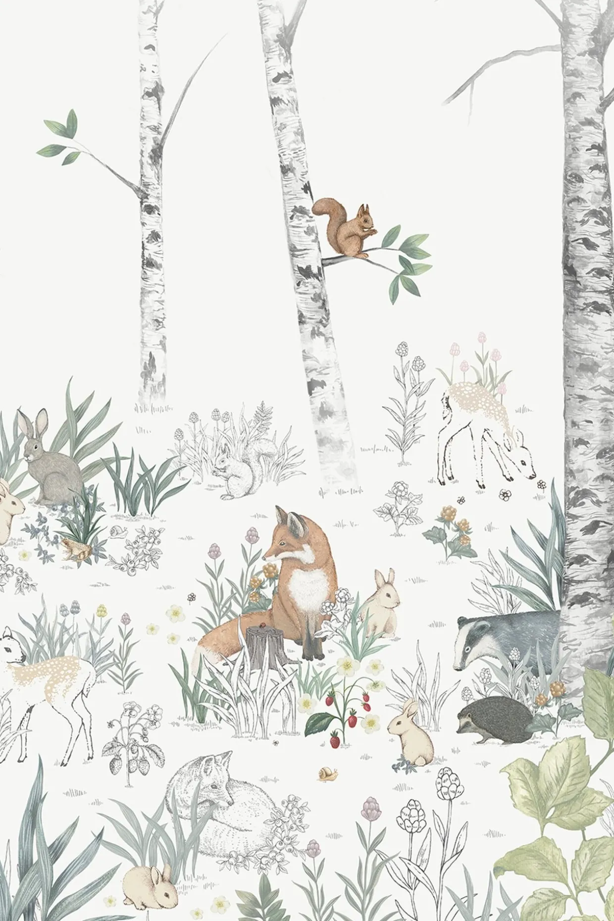 Tapet Magic Forest – Veggmaleri